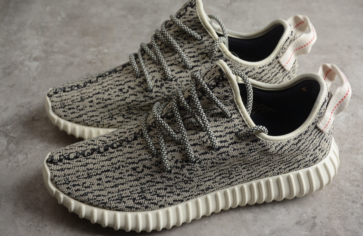 Chaussure ADIDAS YEEZY BOOST 350 V2