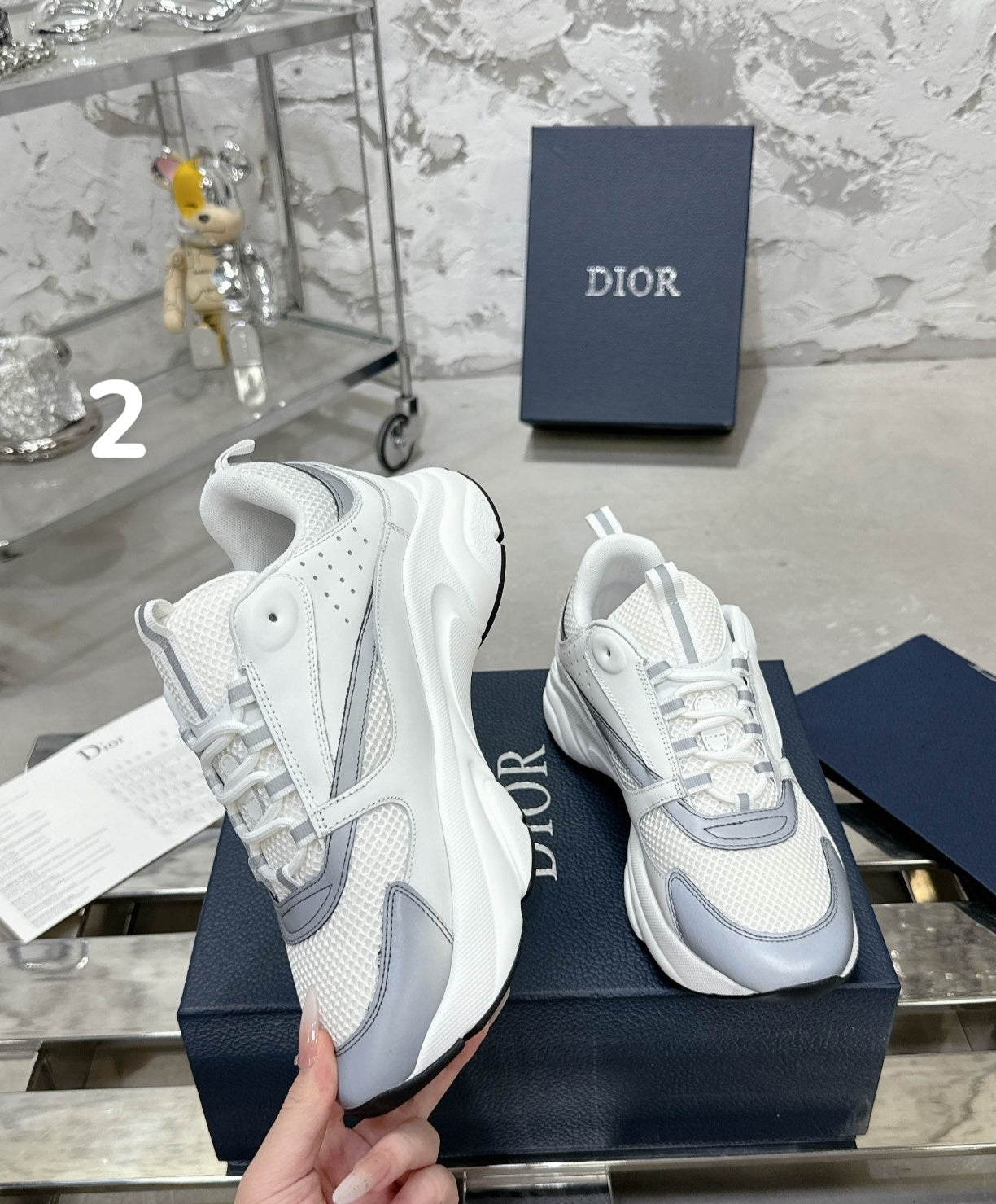 Chaussure DIOR B22