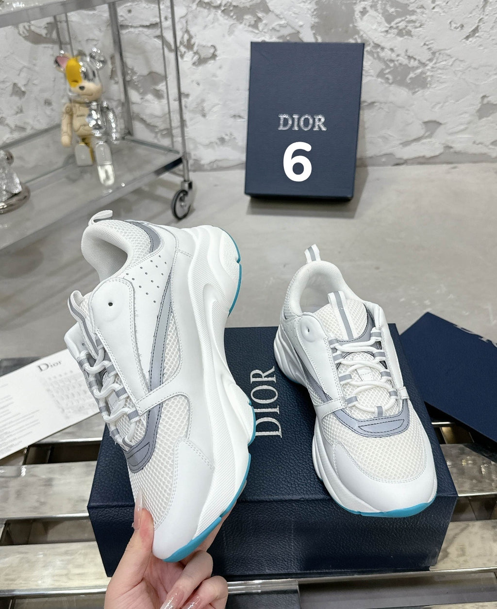 Chaussure DIOR B22