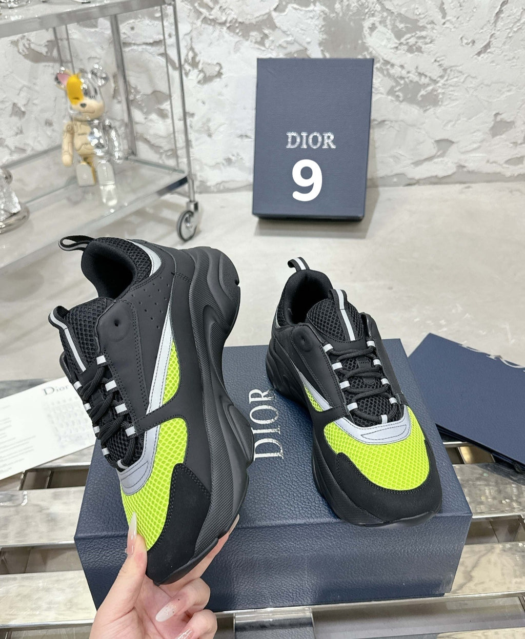 Chaussure DIOR B22