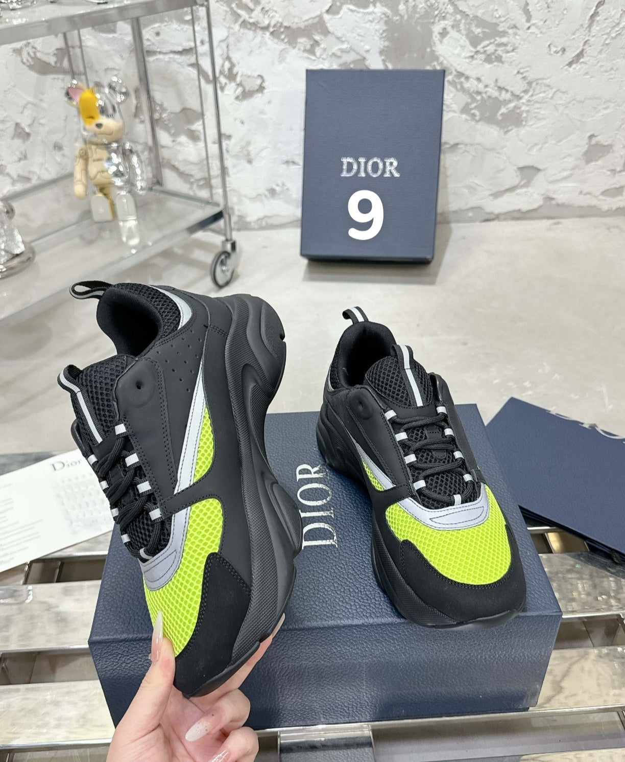 Chaussure DIOR B22