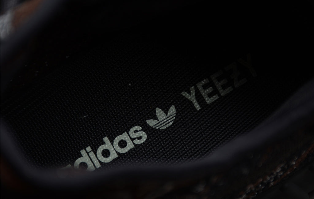 Chaussure ADIDAS YEEZY BOOST 350 V2