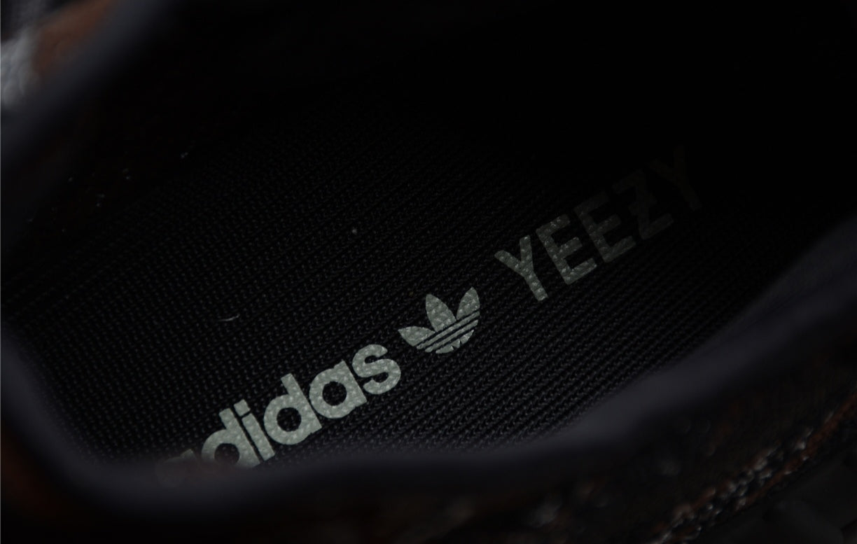 Chaussure ADIDAS YEEZY BOOST 350 V2