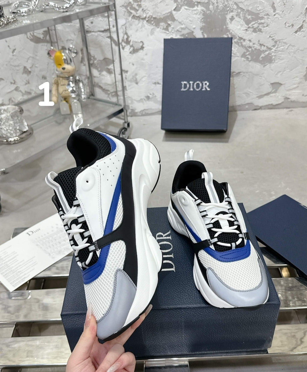 Chaussure DIOR B22