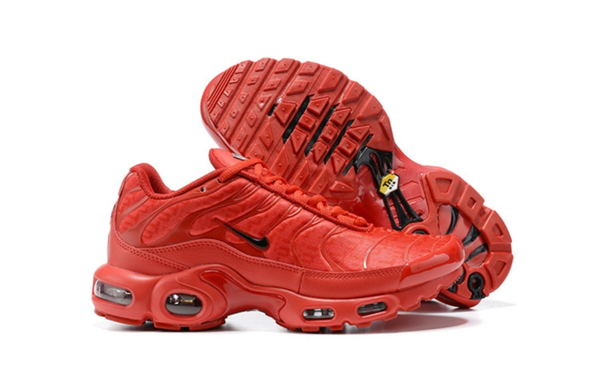 Chaussure NIKE TN