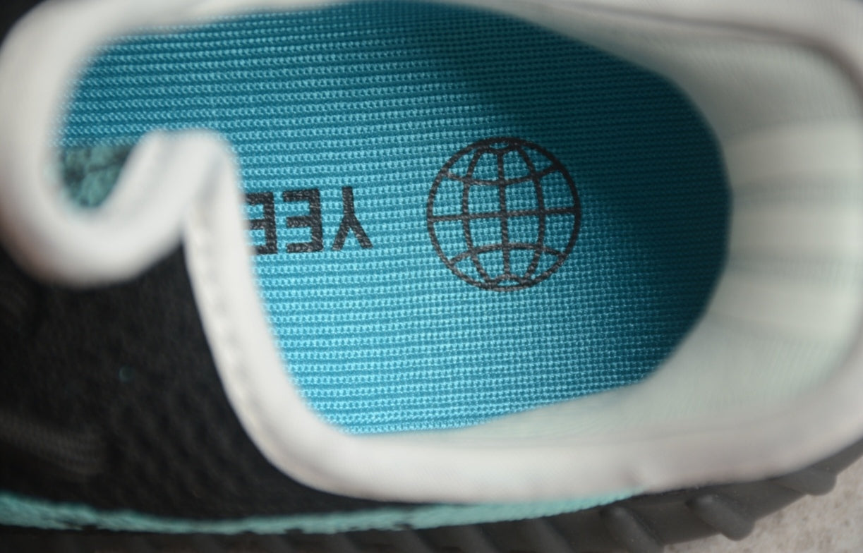 Chaussure ADIDAS YEEZY BOOST 350 V2